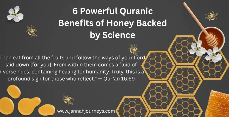 6-Powerful-Quranic-Benefits-of-Honey-Backed-by-Science