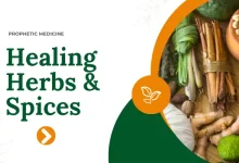 healing herbs and medicine
